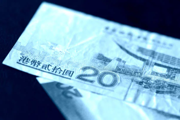 Travel-Friendly Support