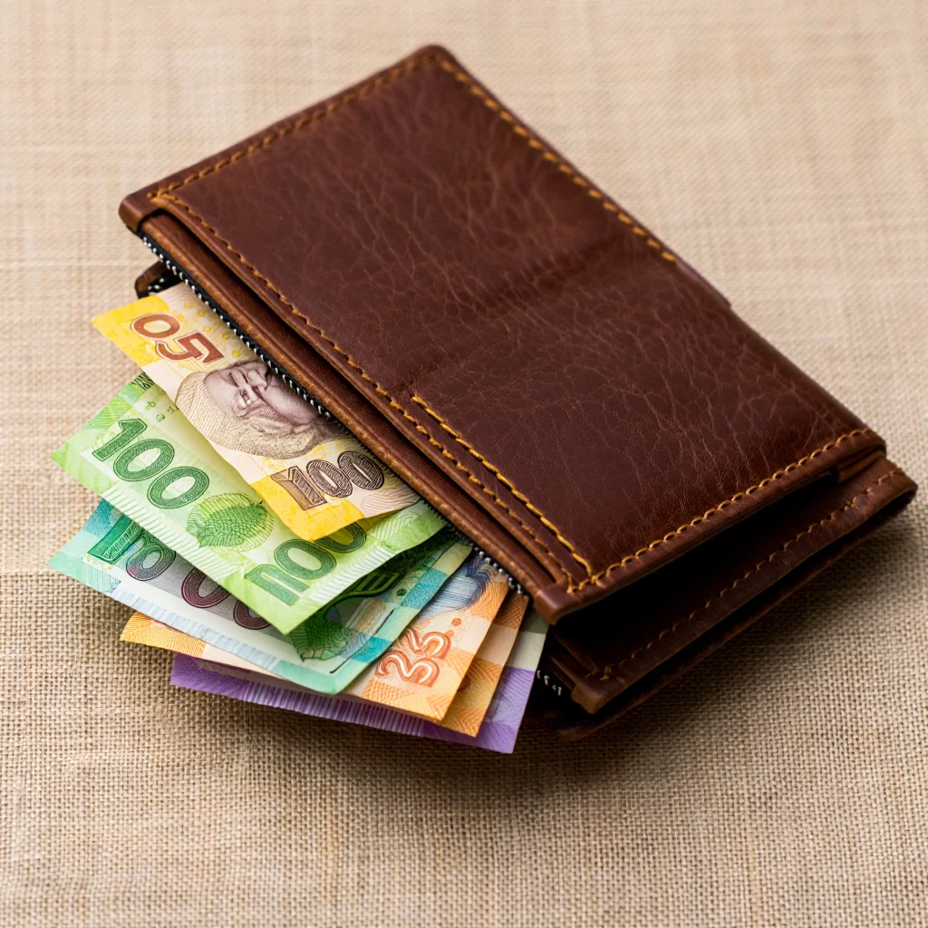 Travel-Friendly Support