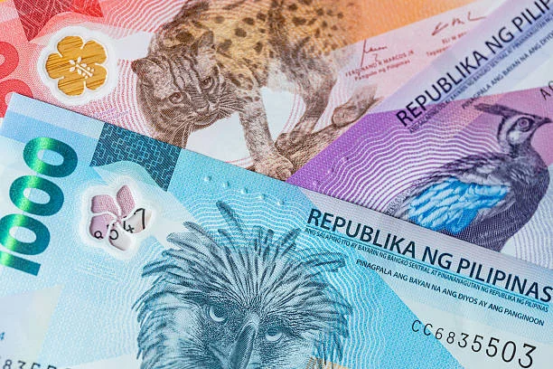 Travel-Friendly Support