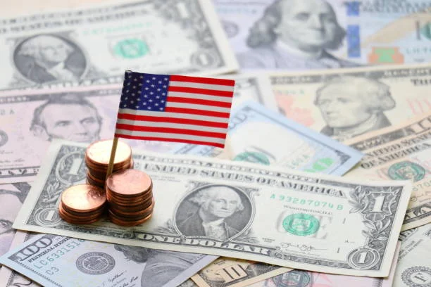 About United States Dollar