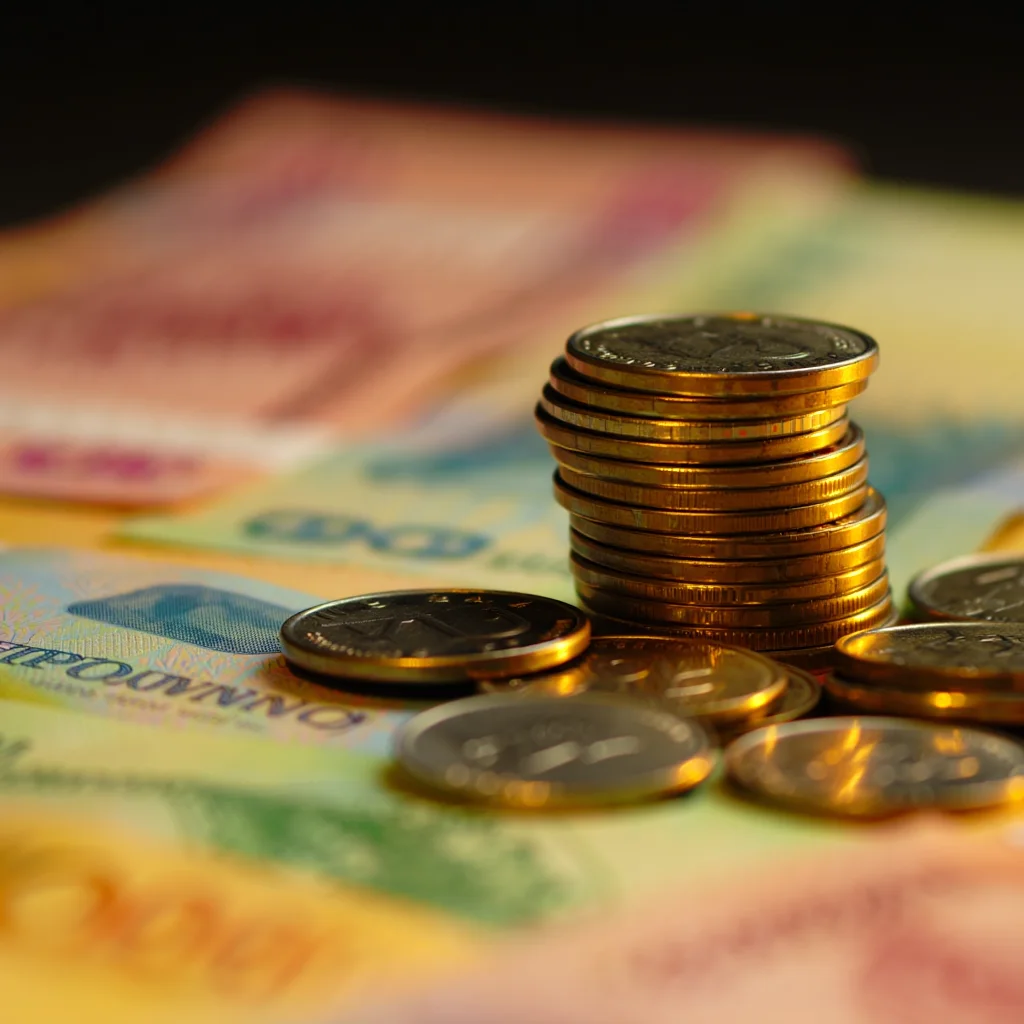 About Vietnamese Dong