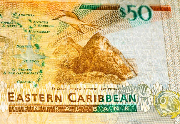 Travel-Friendly Support